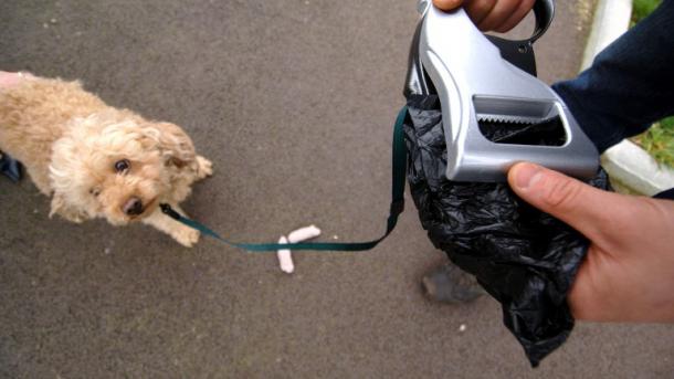 France : l`ADN des chiens fiché pour lutter contre les crottes à Béziers France : l`ADN des chiens fiché pour lutter contre les crottes à Béziers
