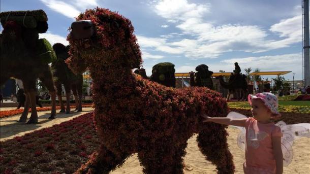 EXPO Mondiale Botanique 2016 à Antalya: 70 000 visiteurs en deux jours