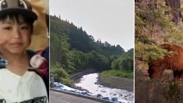 Japon: Laissé à la forêt par ses parents pour le punir, un enfant est porté disparu