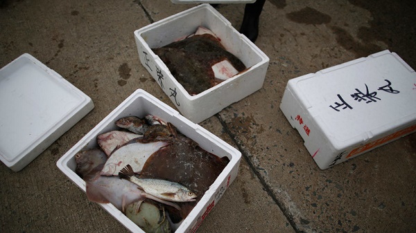 Le Japon pourrait autoriser la vente du poisson plat pêché près de Fukushima