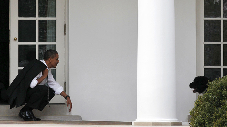 La perra de los Obama muerde a una joven en la Casa Blanca 