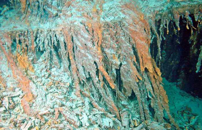 Una poderosa bacteria podría hacer desaparecer los restos del Titanic