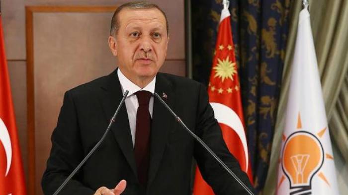 Erdogan informa que el plan de acción de 180 días se pondrá en marcha a finales de este junio