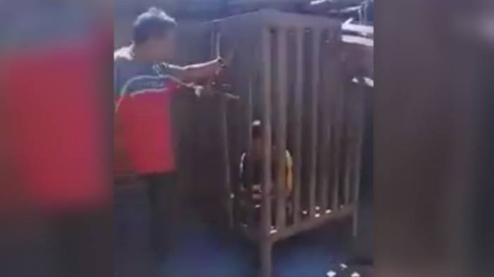 Unos padres encierran a su hijo discapacitado en una jaula durante cuatro años en Argentina (VIDEO)