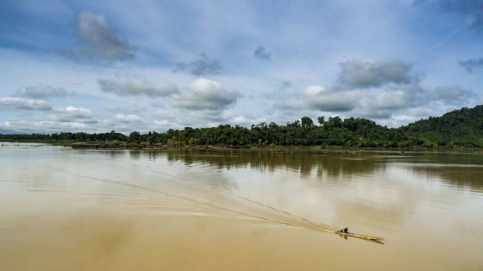 Bizarre Tierwelt am Mekong: Forscher entdecken 115 neue Arten