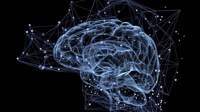 Studie: Hoher IQ steht im Zusammenhang mit psychischen Störungen