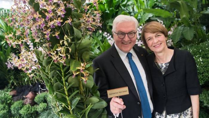 Steinmeier ist jetzt auch eine Orchidee