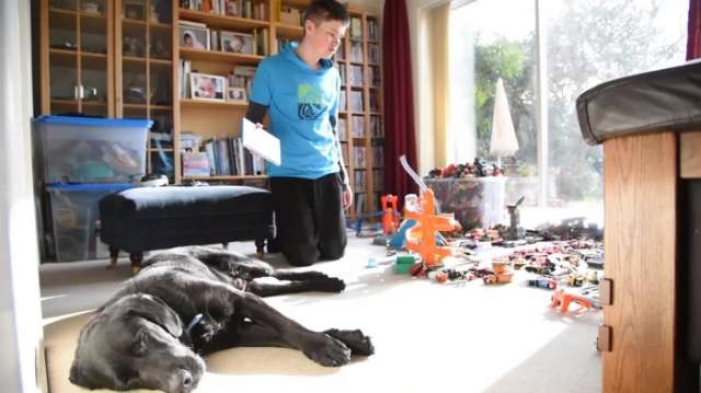 How an autistic teenager's life has been transformed by his support dog
- VIDEO