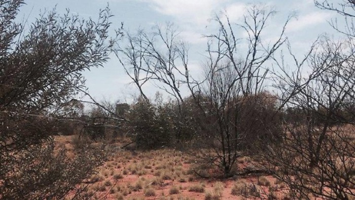 Deutscher Tourist stirbt im Outback