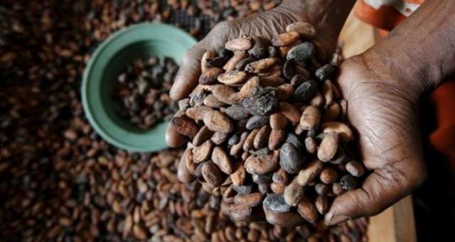 World may run out of coffee, chocolate, potatoes by 2055
