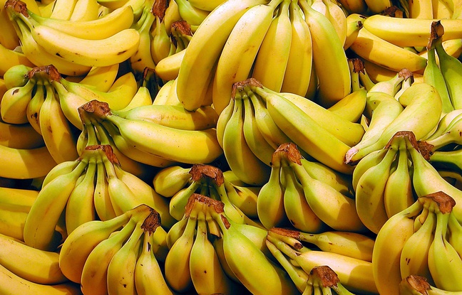 La police le force à manger 40 bananes pour déféquer le bijou volé