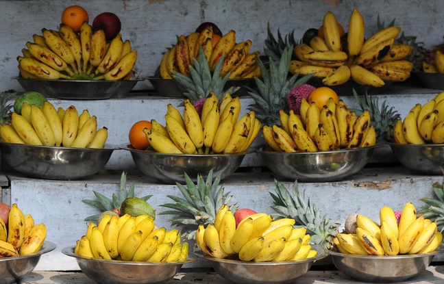 La peau de banane permet de révéler les stades du cancer de la peau