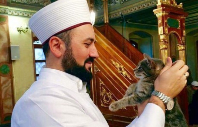 Turquie: Un imam ouvre sa mosquée aux chats errants VIDEO 