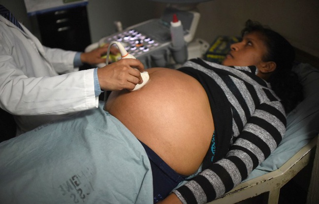L`OMS recommande aux femmes de retarder leur grossesse dans les pays infectés