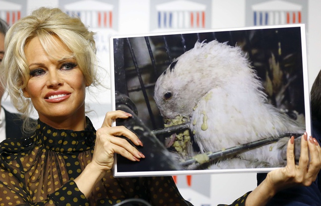 Pamela Anderson déclenche «des propos particulièrement sexistes» à l’Assemblée