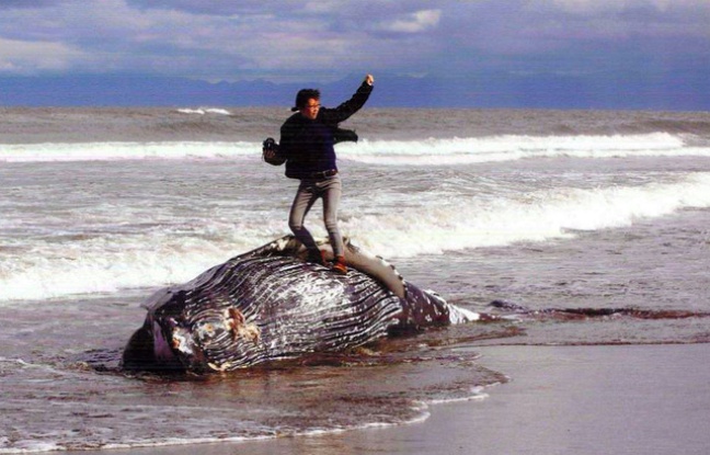 La photo d`un homme sur une baleine morte déclenche une vague de critiques