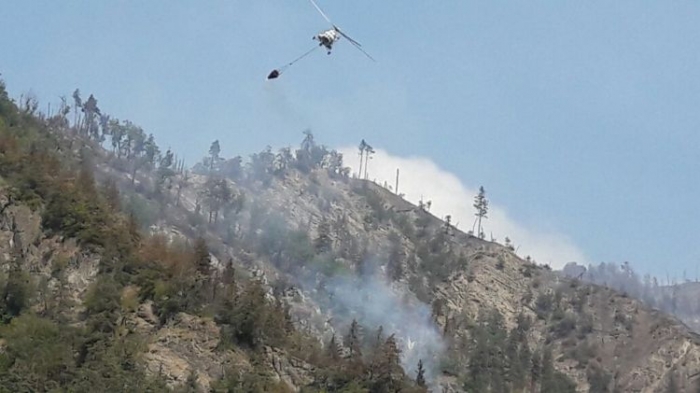 Efforts underway to extinguish forest fire in Azerbaijan’s Gabala