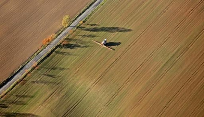 EU-Behörde hält Pestizid Glyphosat nicht für krebserregend