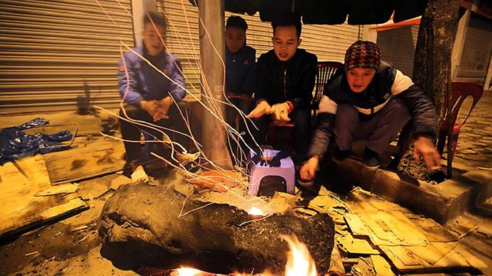 Fast 8000 Tiere sterben in Vietnam