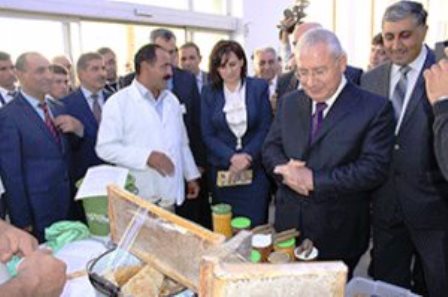 Nazirin `bal ayı` başa çatır Nazirin `bal ayı` başa çatır