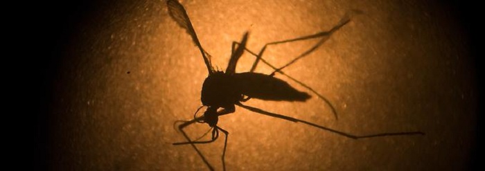 Honduras meldet ersten Zika-Toten