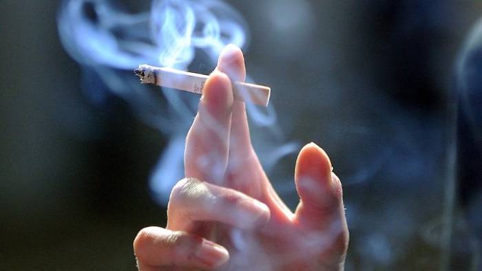 Absatz von Tabakwaren gestiegen