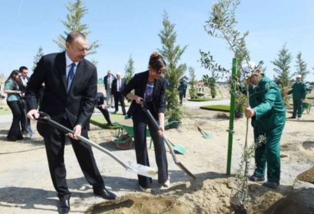 President Ilham Aliyev attends tree-planting campaign on occasion of Azerbaijani national leader's birthday

