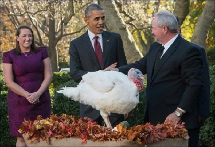 US-Präsident begnadigt zwei Thanksgiving-Truthähne