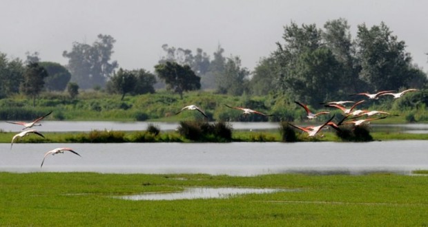 La moitié des sites naturels classés par l’Unesco menacée