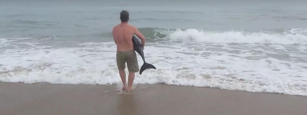 Namibie : il sauve un dauphin échoué sur une plage