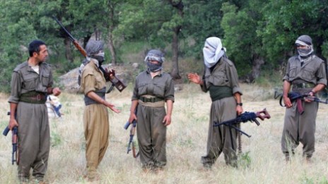 PKK atəşkəs elan etdi