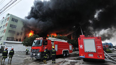 China poultry plant fire kills 43