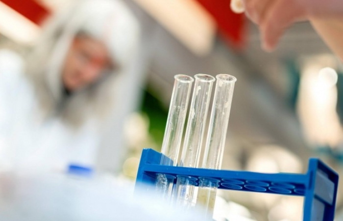 Wissenschaftler machen aus wässrigem Gel glasartigen Stoff