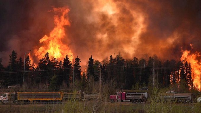 Waldbrand schlägt 90.000 in die Flucht