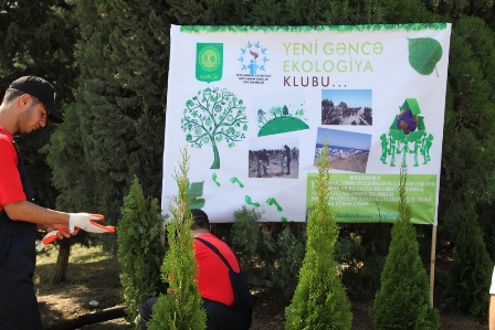 Gəncədə 91 min ağac əkiləcək