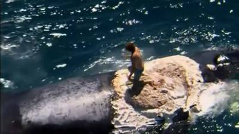 Australian Man Rides Dead Whale As Sharks Circle - VIDEO