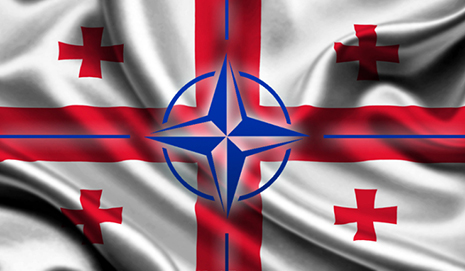 Georgia gets closer to NATO 