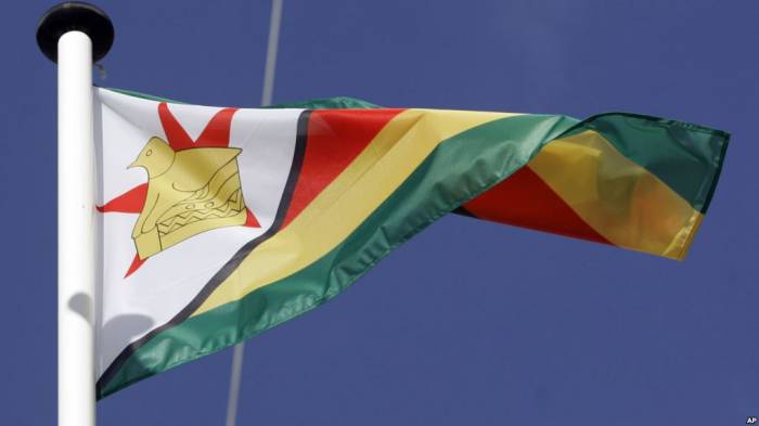 Zimbabwe: l'ex-chef de l'armée devient vice-président