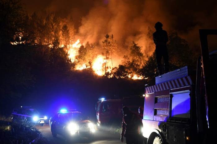 Feux de forêt au Portugal: 61.600 hectares partis en fumée