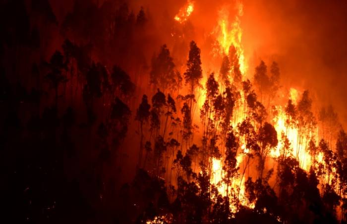 Le Portugal en deuil après un gigantesque feu de forêt qui a fait au moins 62 morts