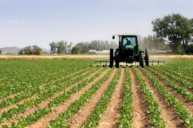 Première formation régionale sur la littératie financière pour les agriculteurs tenue par le projet UE-BERD Première formation régionale sur la littératie financière pour les agriculteurs tenue par le projet UE-BERD