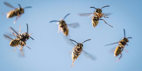 Allergies : le risque de choc anaphylactique reste largement méconnu