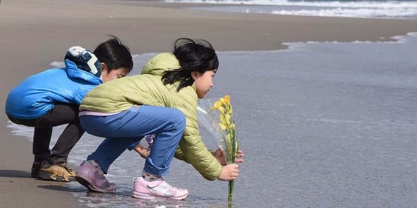 Après Fukushima, la radioactivité dans le Pacifique quasi revenue à la normale
