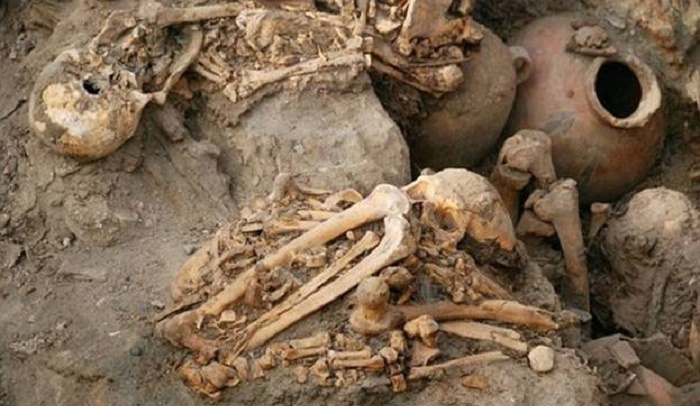 US returns 3,000 paleontological pieces to Iran