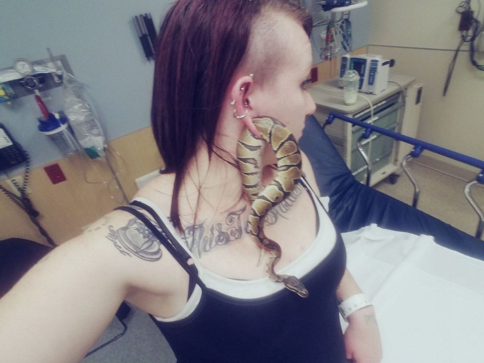 Etats-Unis : un serpent coincé dans l`oreille, elle termine aux urgences