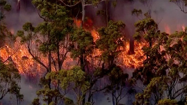 Bolsonaro calls Amazon wildfires a 