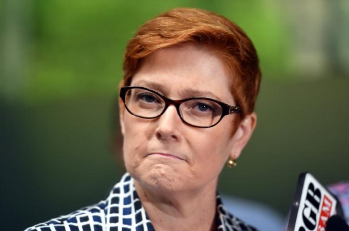 Australia suspends air strikes in Syria