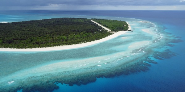Australie : 6,5 milliards d`euros nécessaires pour sauver la Grande barrière