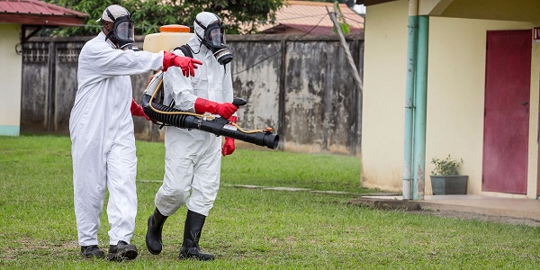 Des chercheurs ont créé un clone du Zika