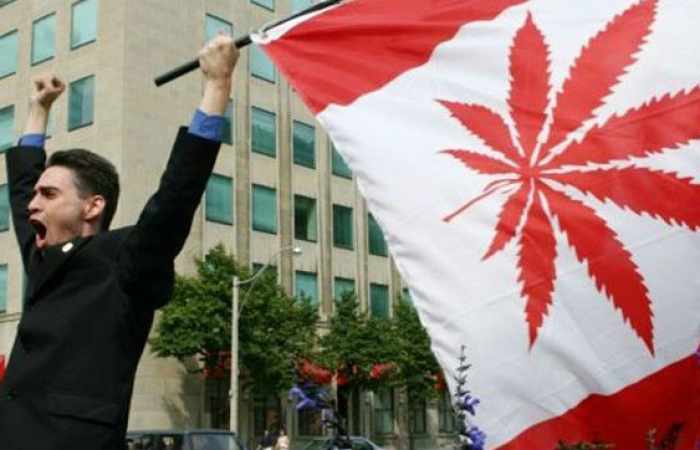 Légalisation du cannabis : le "oui, mais" des Canadiens, selon un sondage